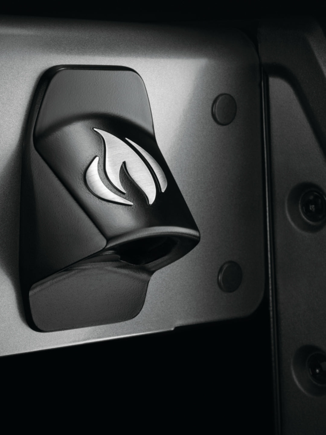 Napoleon Freestyle 365 – Value, Versatility, and Flavor