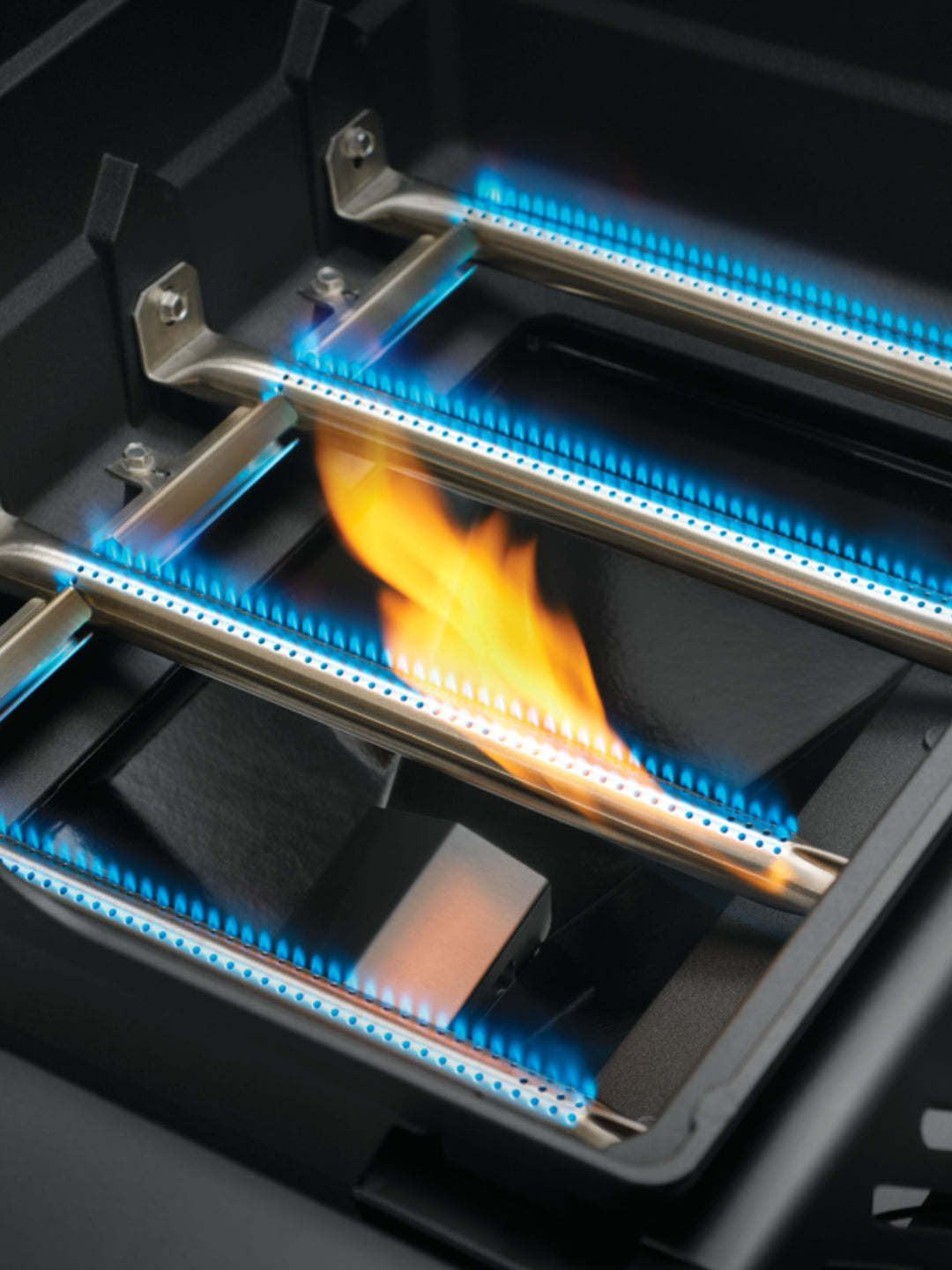 Napoleon Freestyle 365 – Value, Versatility, and Flavor