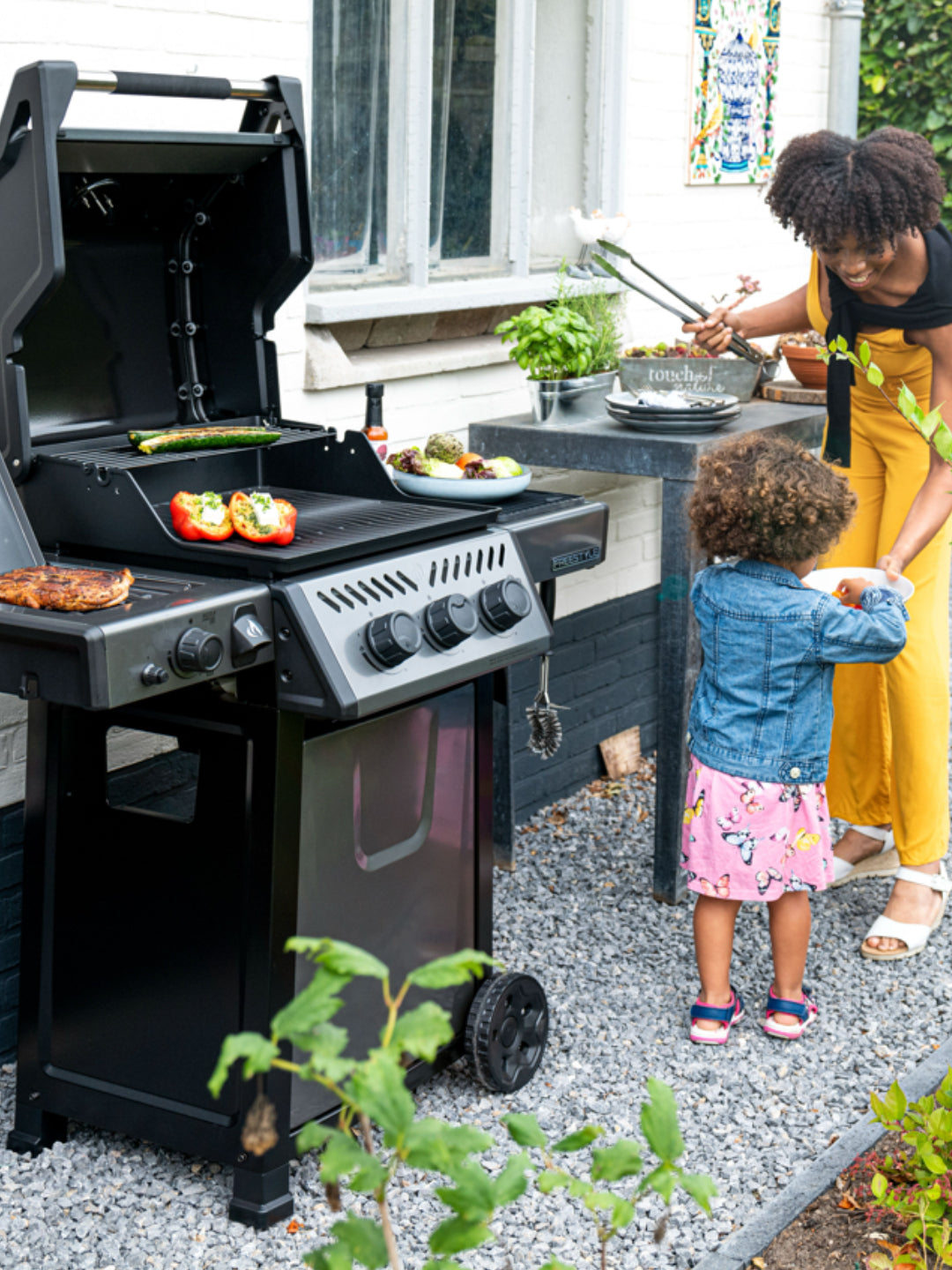 Napoleon Freestyle 365 – Value, Versatility, and Flavor