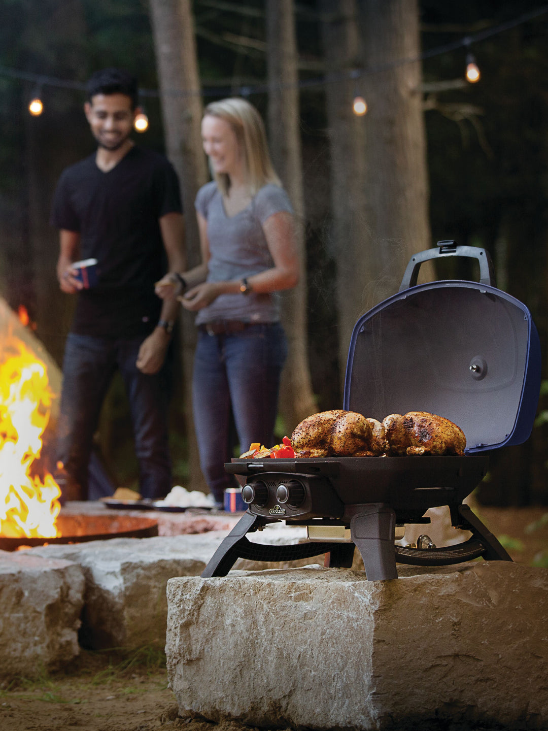 napoleon portable gas grill